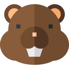 獭