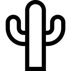 仙人掌