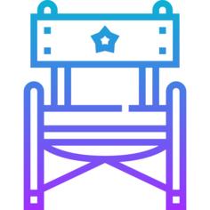 Director chair