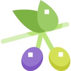 橄榄