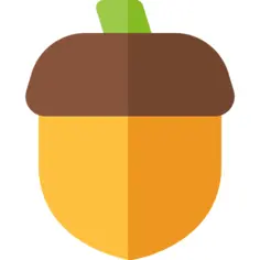 Acorn