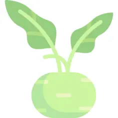 Kohlrabi