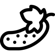 Cucumber