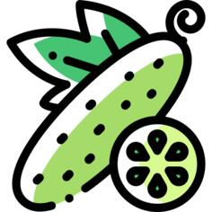 Cucumber