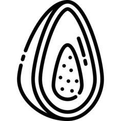 番木瓜
