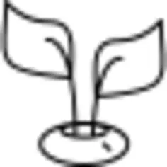 植物叶在一个罐子里