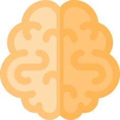 Brain