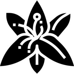 百合
