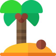 Coconut tree