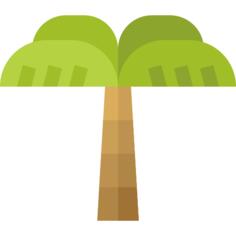 Palm tree