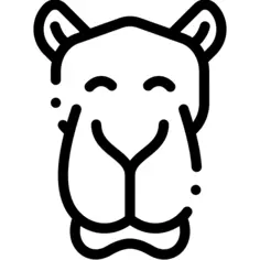 Camel