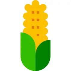 Corn