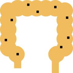 Intestine