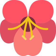 爵床科