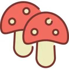 Mushroom