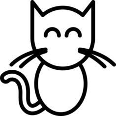 Black cat