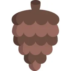 Pine cone