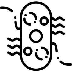 病毒
