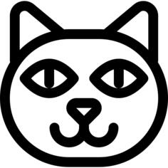黑猫