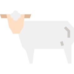 Lamb
