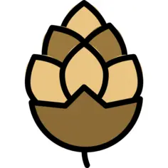 Pine cone