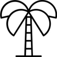Palm tree