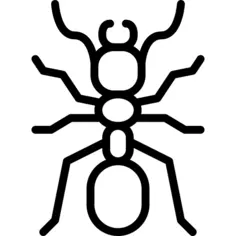 Ant