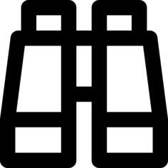 双目