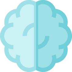 Brain