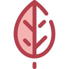 Leaf