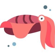 Cuttlefish