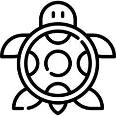 乌龟