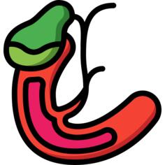Gallbladder