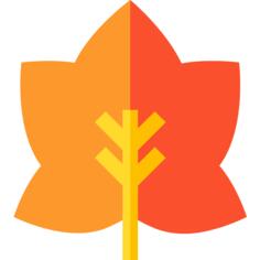 秋季