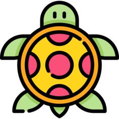 乌龟
