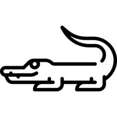 鳄鱼