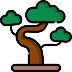 Bonsai