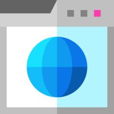 Website