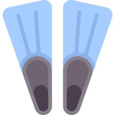 Fins