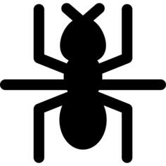 Ant