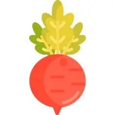 甜菜
