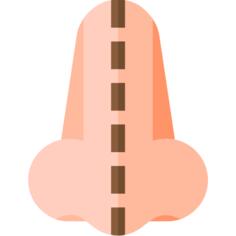 Nose