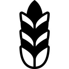 小麦