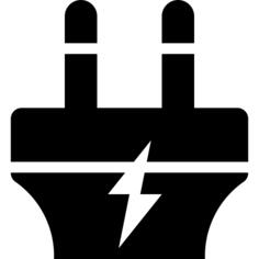 Plug