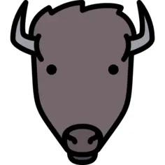 Bison