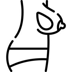 解剖学