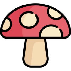 蘑菇
