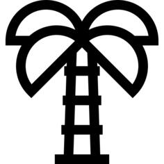Palm tree