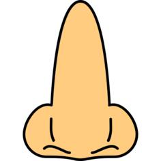 Nose