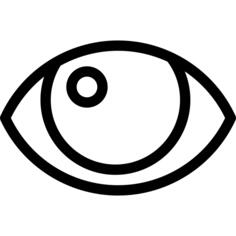 眼睛